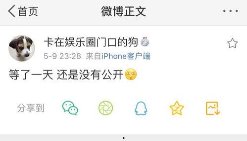 吃瓜爆料251071,热点事件背后的真相与内幕