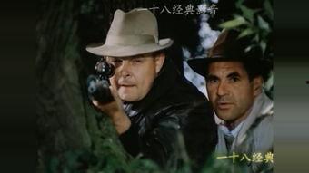 电视剧谍战片大全集,揭秘电视剧谍战片大全集的惊心动魄与智慧较量