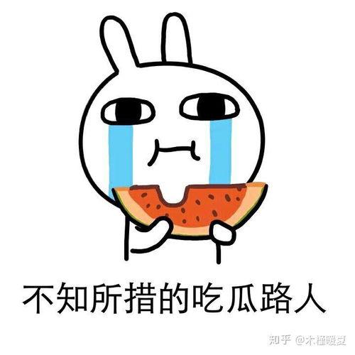 坐等吃瓜爆料小说,坐等吃瓜者的神秘爆料之旅