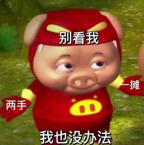 娱乐吃瓜酱猪猪侠,吃瓜酱带你领略猪猪侠的趣味人生