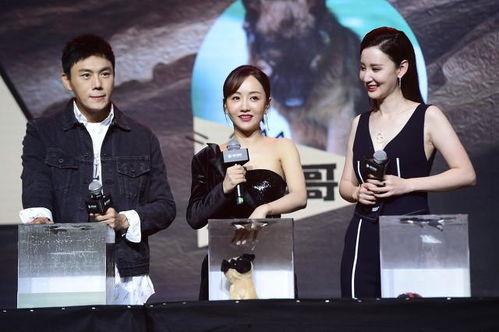 吃瓜娱乐圈原声创作,揭秘幕后真相，吃瓜群众的原声再现