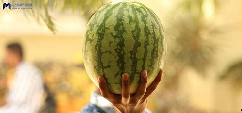 今年娱乐的吃瓜事件,2023年度娱乐圈爆笑吃瓜大盘点