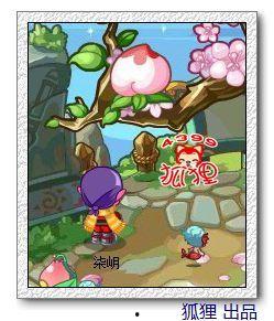 吃瓜网免费独家揭秘呱呱,吃瓜网独家免费解析呱呱背后的秘密