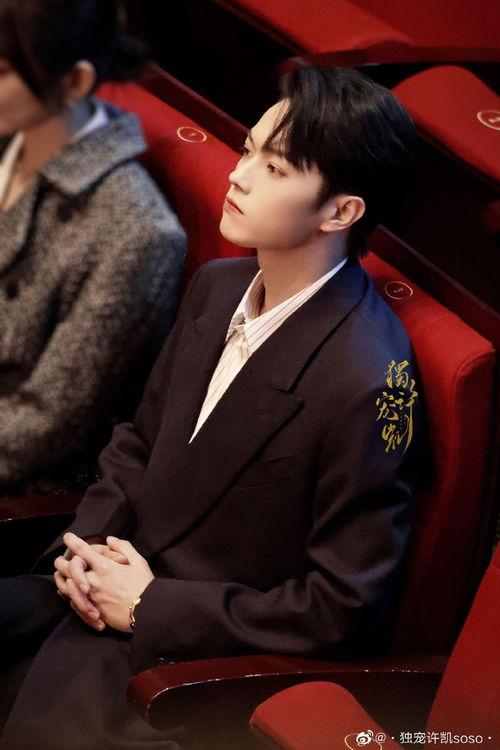 吃瓜娱乐圈许凯图片大全